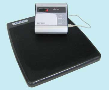 Take-A-Weigh Electronic Scale (Model 68987)