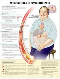 Metabolic Syndrome Chart (Model 95811)