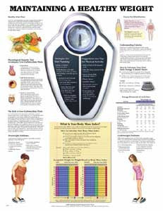 Charts on Healthy Weight, Healthy Eating, and Cholesterol